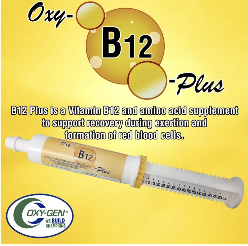 b12 injections aberdeen Vitamin B12 Injection: Energy Boost and Anemia Treatment — Mountainside  Medical
